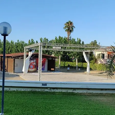 San Bull Club *
